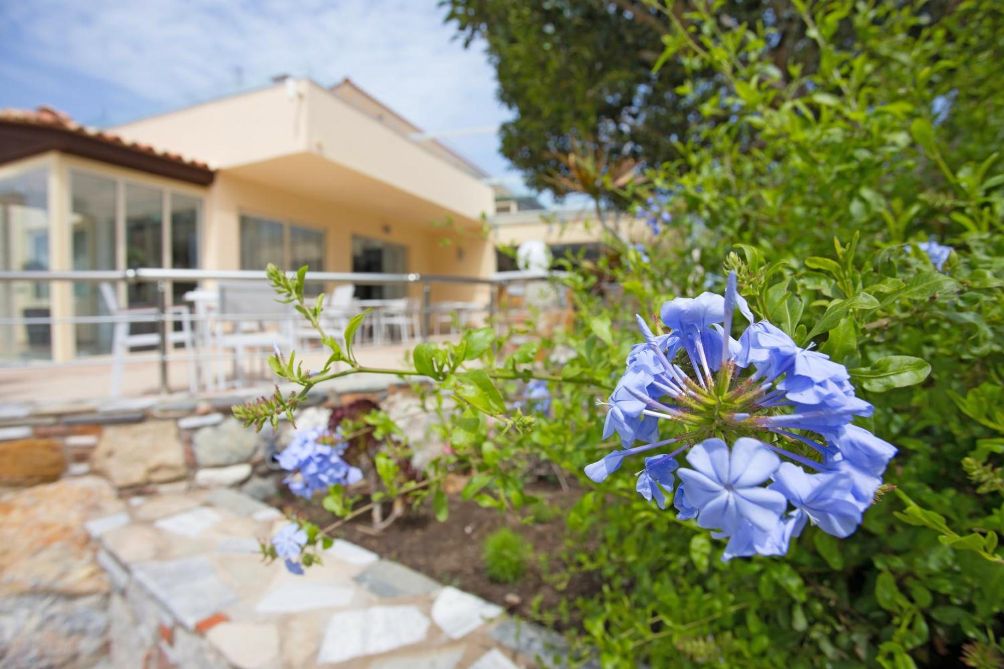 Achilleas Beach Hotel Adults Only Mastichari  Dış mekan fotoğraf